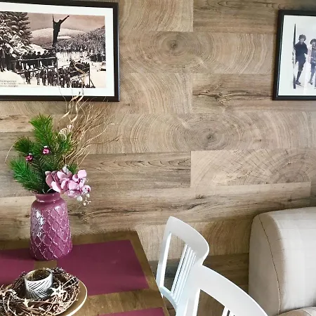 Gryf U Sjezdovky Appart hôtel Harrachov