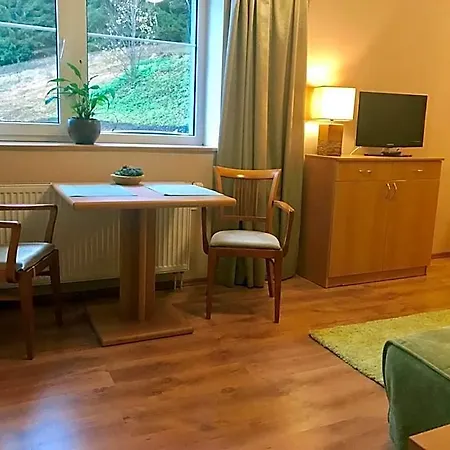 Gryf U Sjezdovky 3* Harrachov