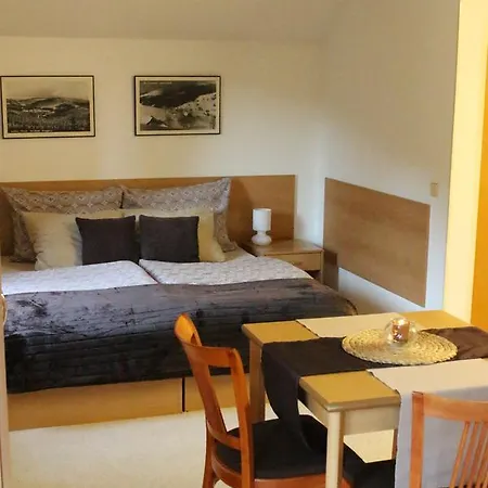 Aparthotel Gryf Harrachov