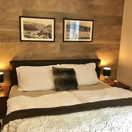 Gryf Appart hôtel Harrachov