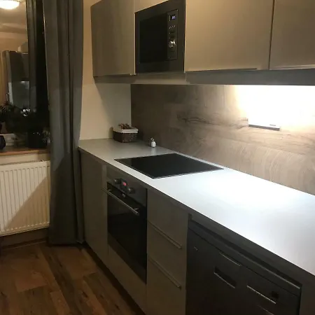Appart hôtel Gryf U Sjezdovky Harrachov